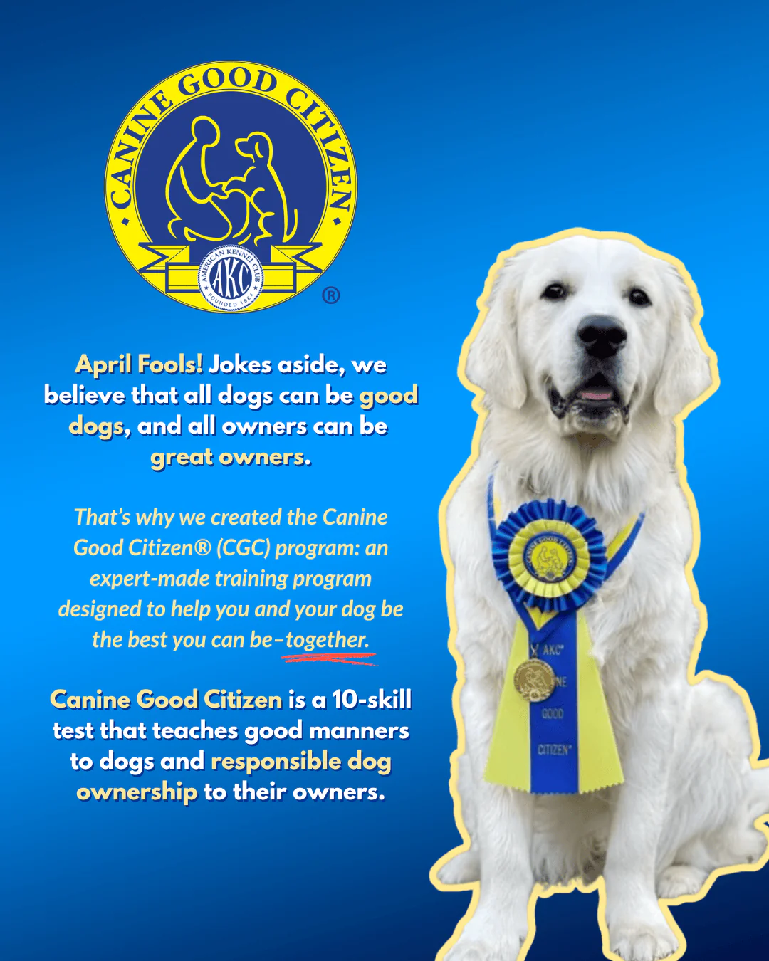 (3 Pk) - Canine Naughty Citizen Rosettes - Image 5