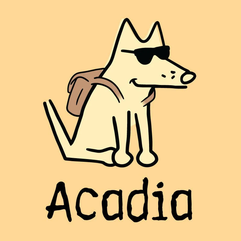 Acadia - Youth Short Sleeve T-Shirt - Image 2
