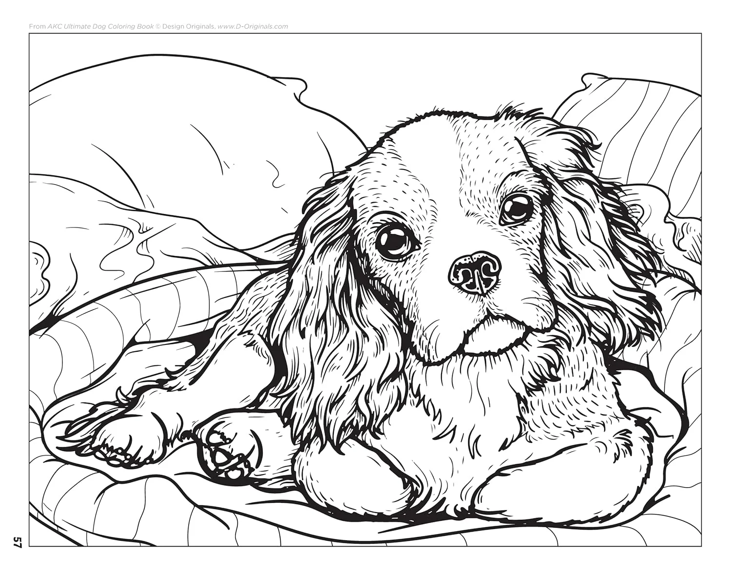 AKC Ultimate Dog Coloring Book - Image 6