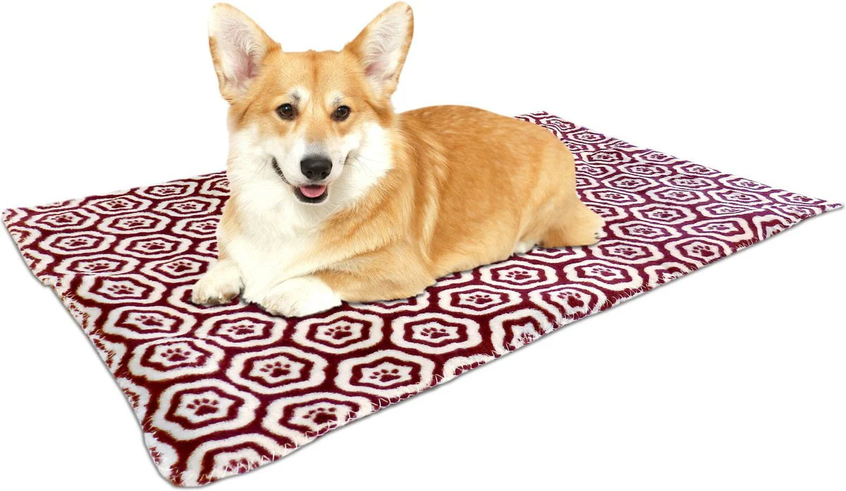 American Kennel Club AKC Paw Blanket & Dog Pillow - Image 2