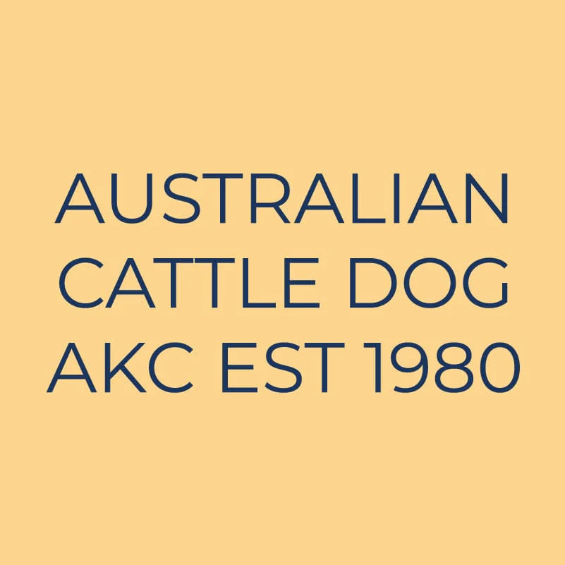 Australian Cattle Dog Embroidered AKC Quarter Zip - Image 3