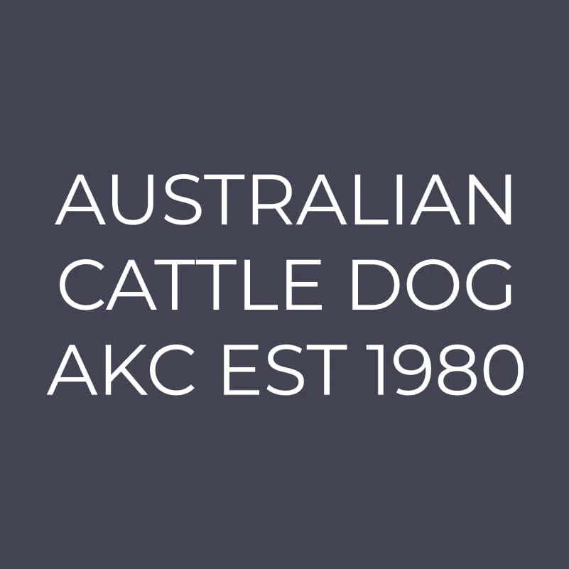 Australian Cattle Dog Embroidered AKC Quarter Zip - Image 9