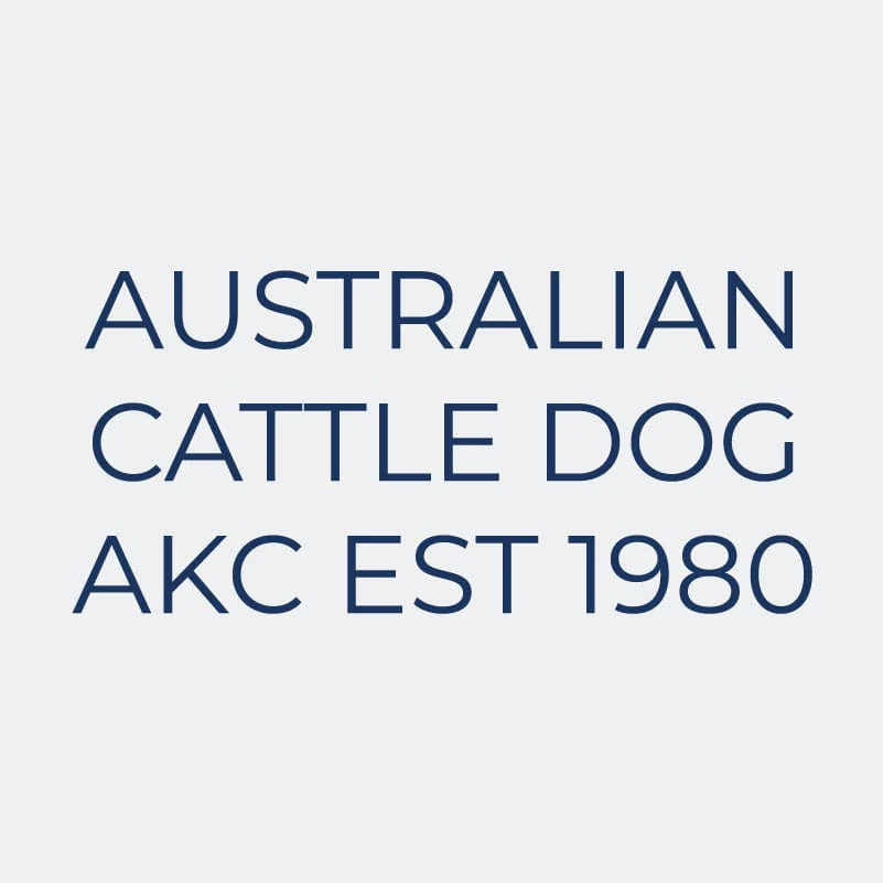 Australian Cattle Dog  Embroidered AKC Women's Polo - Image 8