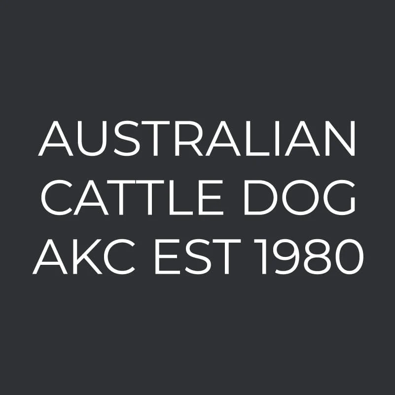 Australian Cattle Dog Embroidered AKC Men's Polo - Image 3