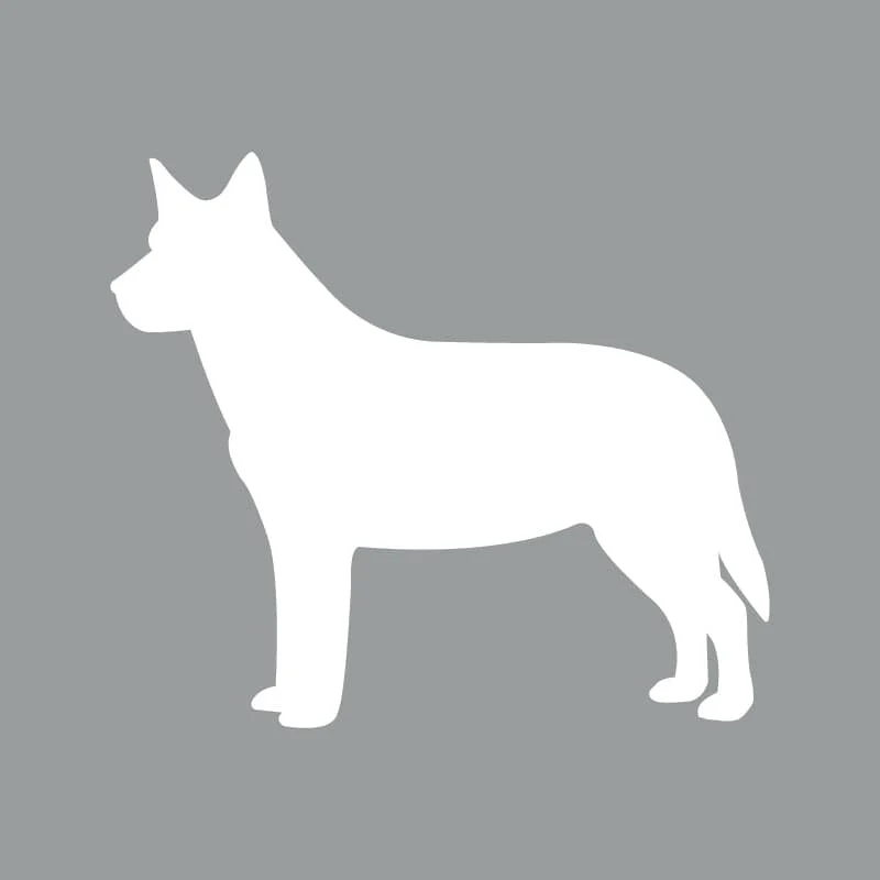 Australian Cattle Dog - Beanie - Image 4