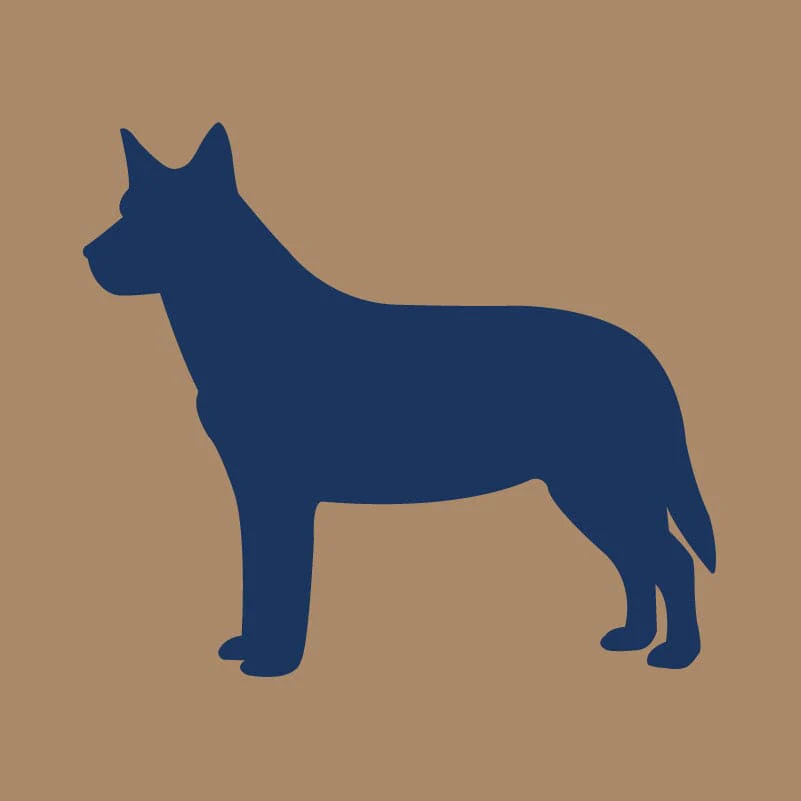Australian Cattle Dog AKC Embroidered Visor - Image 2