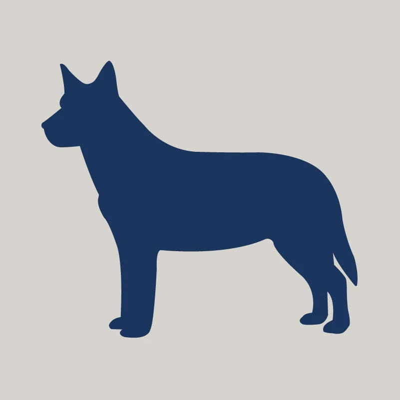 Australian Cattle Dog AKC Embroidered Visor - Image 6