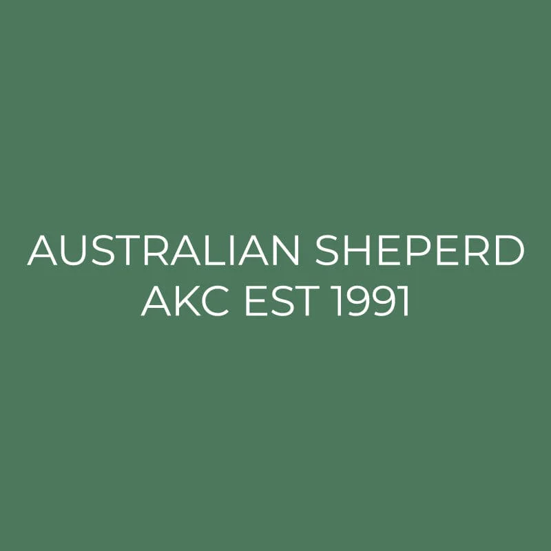 Australian Shepherd Embroidered AKC Quarter Zip - Image 3