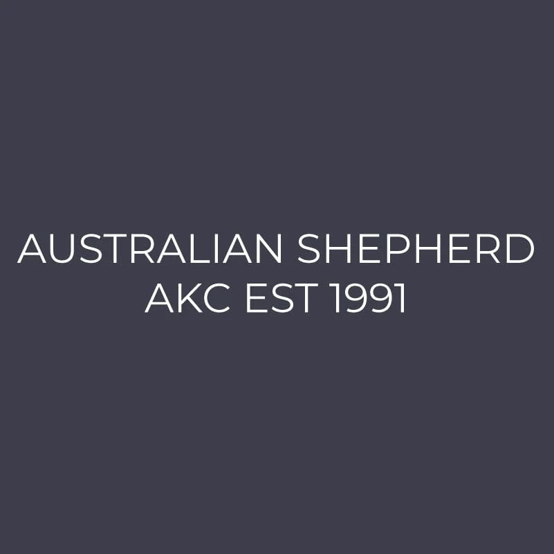 Australian Shepherd Embroidered AKC Quarter Zip - Image 9