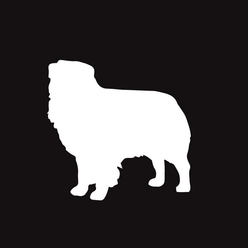 Australian Shepherd AKC Embroidered Visor - Image 2