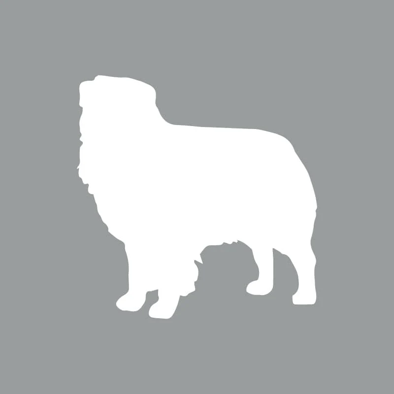 Australian Shepherd - Beanie - Image 2