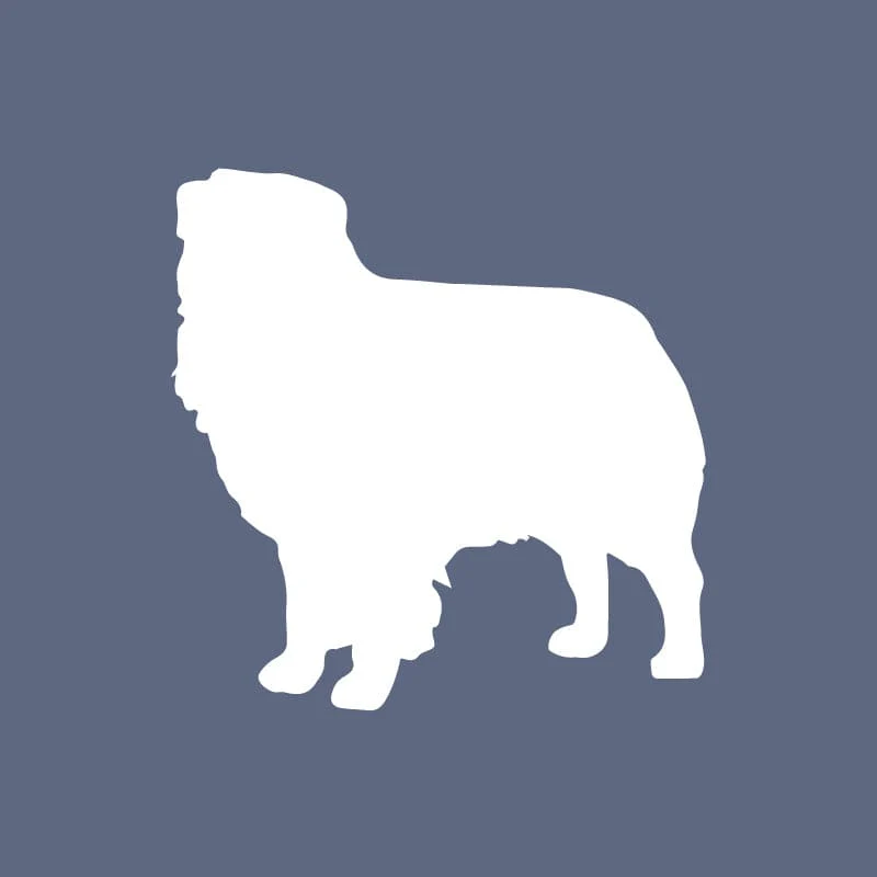 Australian Shepherd - Beanie - Image 4
