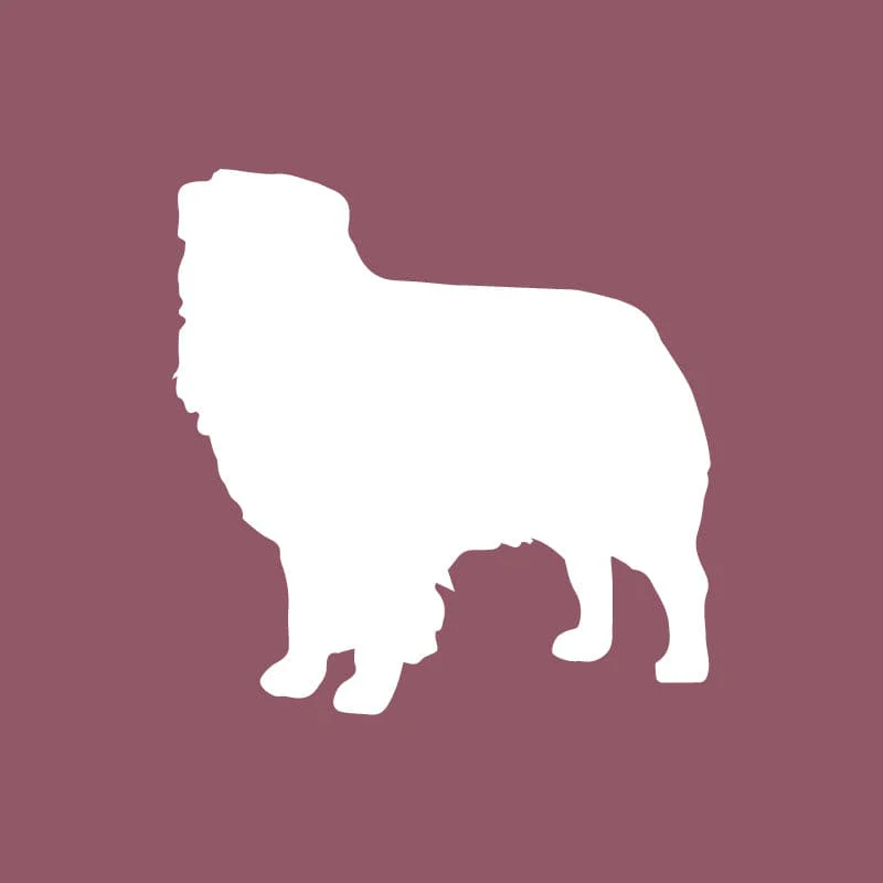 Australian Shepherd - Beanie - Image 6