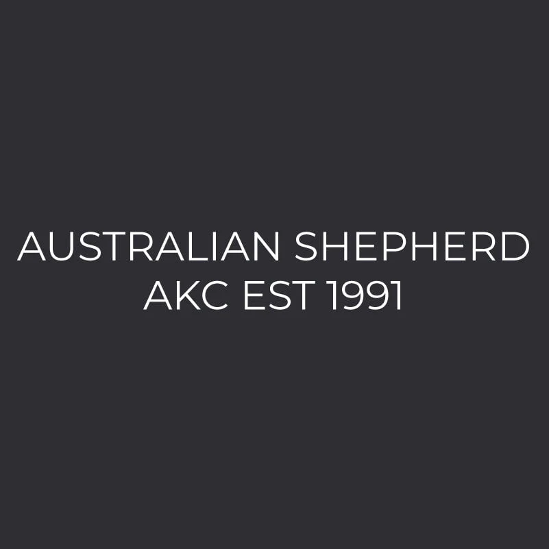 Australian Shepherd Embroidered AKC Men's Polo - Image 3