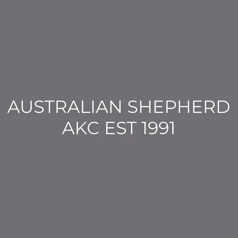 Australian Shepherd Embroidered AKC Men's Polo - Image 6