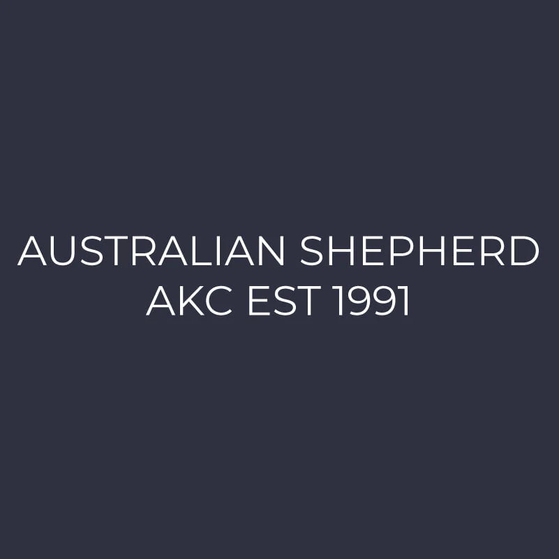 Australian Shepherd Embroidered AKC Men's Polo - Image 9