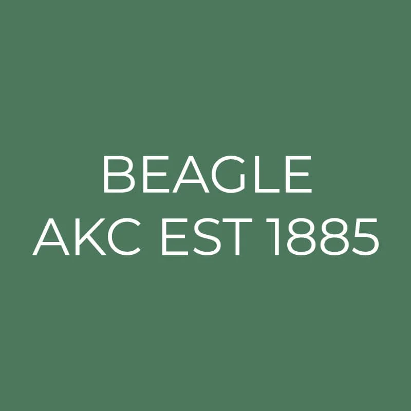 Beagle Embroidered AKC Quarter Zip - Image 15