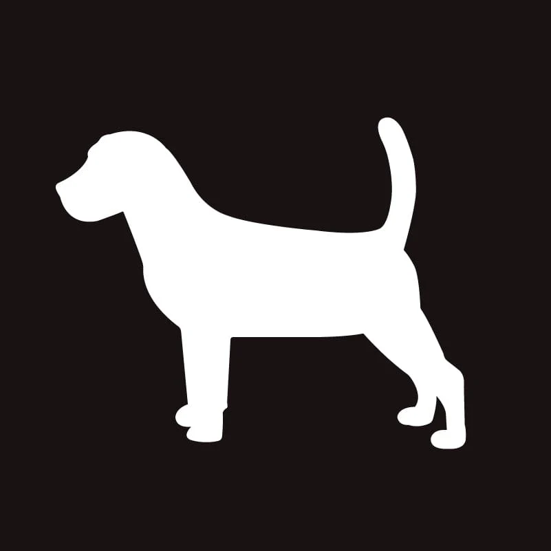 Beagle AKC Embroidered Visor - Image 4