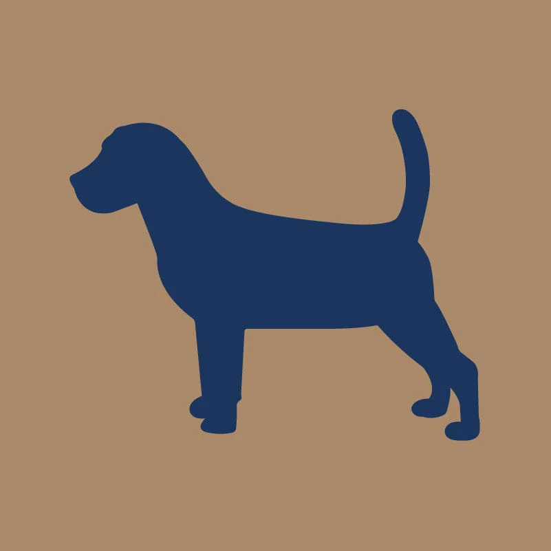 Beagle AKC Embroidered Visor - Image 6