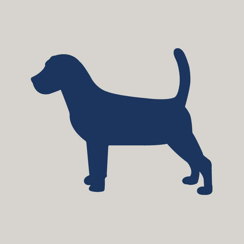 Beagle AKC Embroidered Visor - Image 8