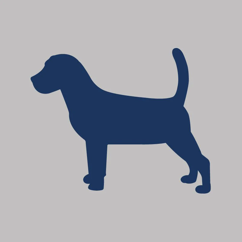 Beagle Infant Onesie - Image 4