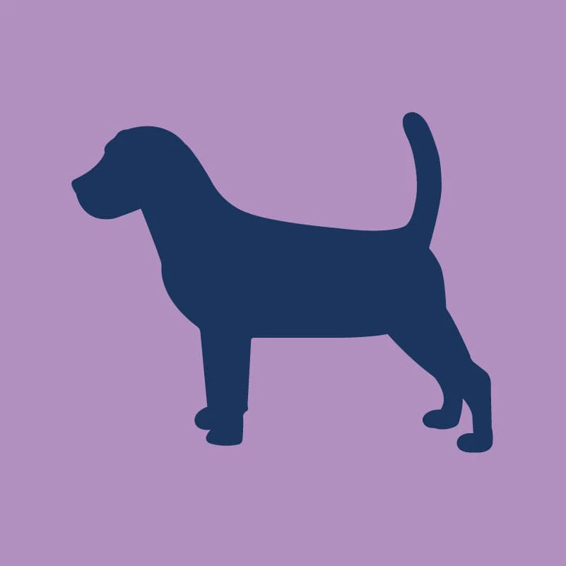 Beagle Infant Onesie - Image 6