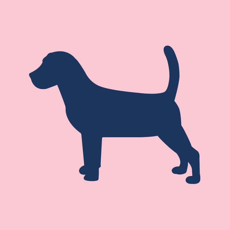 Beagle Infant Onesie - Image 8