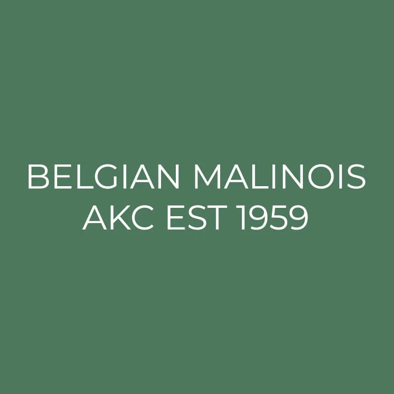 Belgian Malinois Embroidered AKC Quarter Zip - Image 15