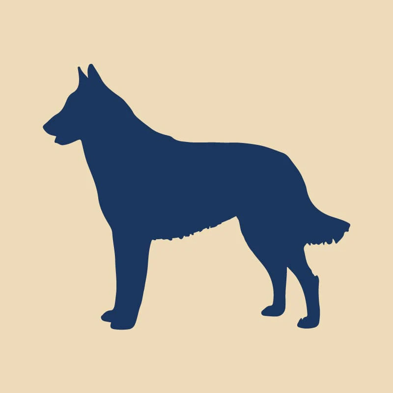 Belgian Malinois Embroidered AKC Quarter Zip - Image 17
