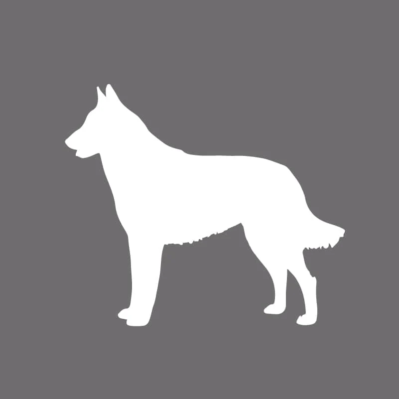 Belgian Malinois Embroidered AKC Men's Polo - Image 8