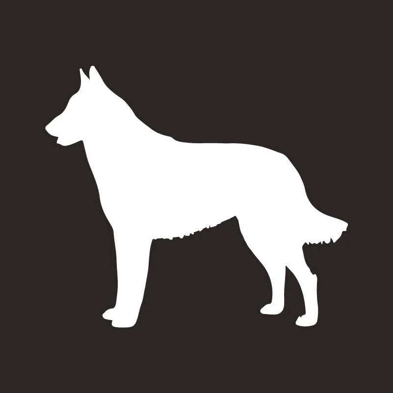 Belgian Malinois AKC Embroidered Visor - Image 2