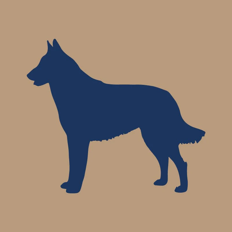 Belgian Malinois AKC Embroidered Visor - Image 4