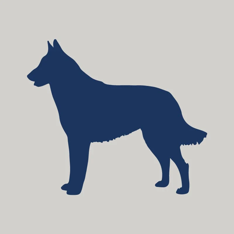 Belgian Malinois AKC Embroidered Visor - Image 6