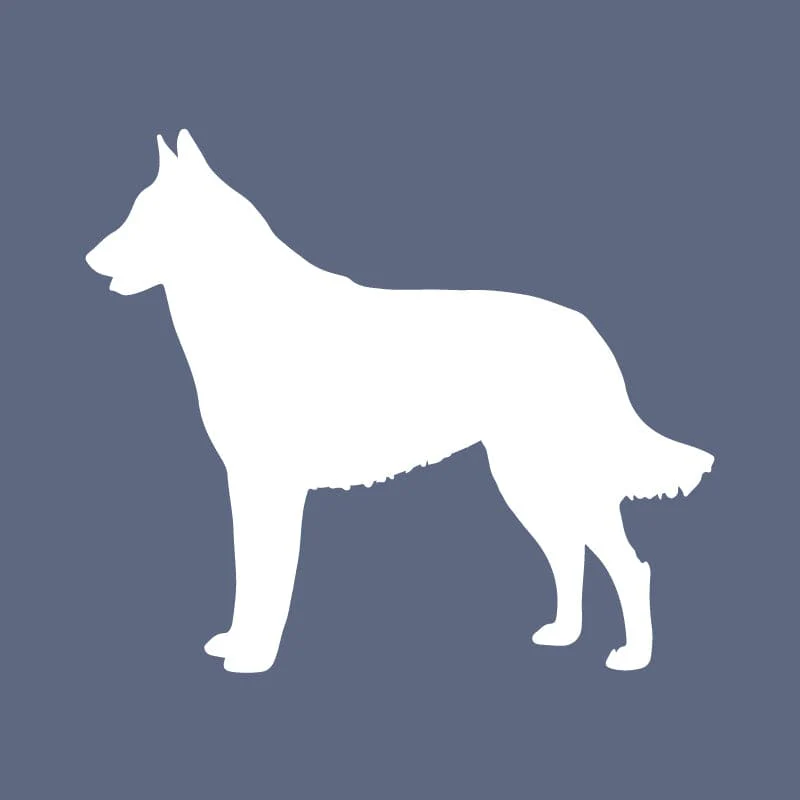 Belgian Malinois - Beanie - Image 6