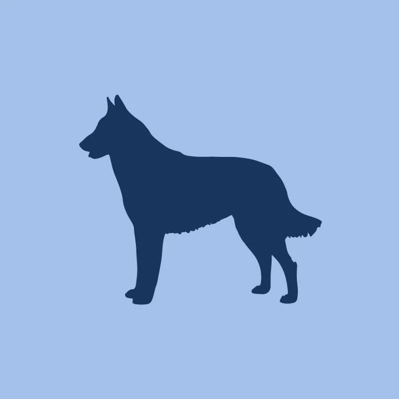 Belgian Malinois Toddler Full Zip Sweatshirt - Image 3