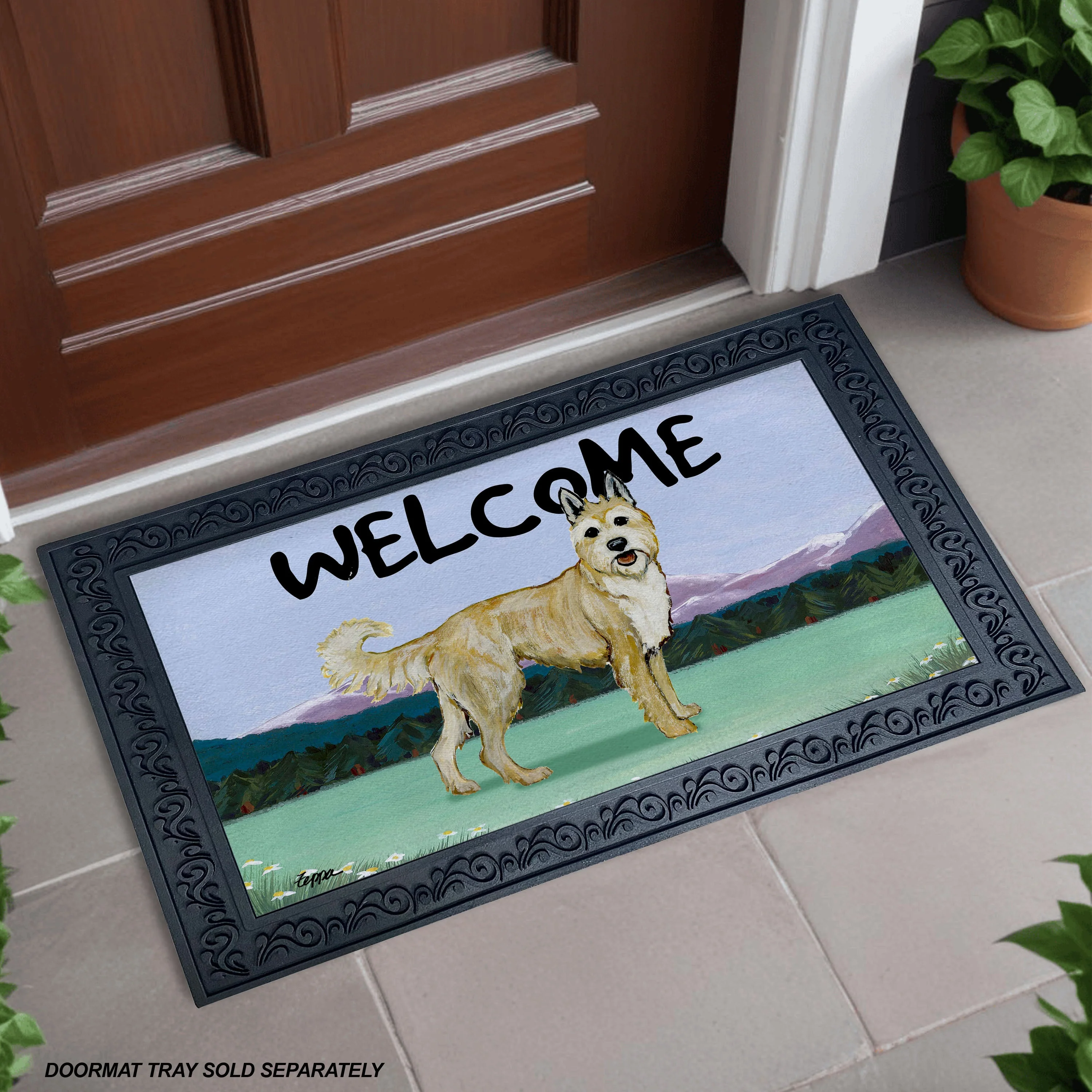 Berger Picard Welcome Mat