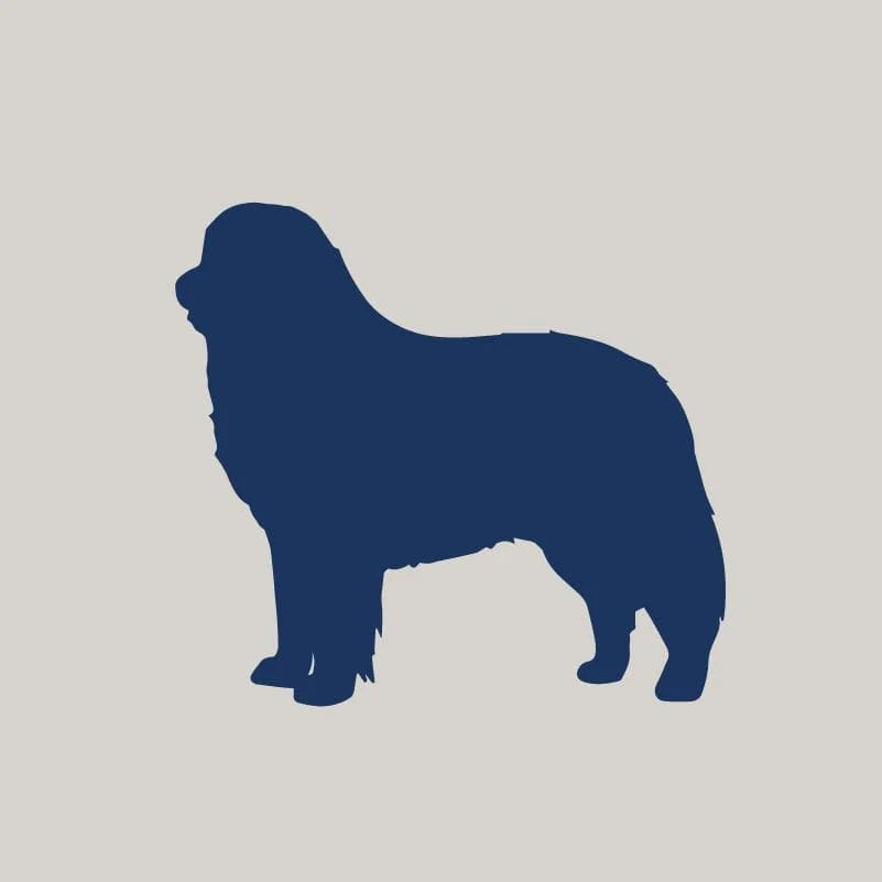 Bernese Mountain Dog AKC Embroidered Visor - Image 2