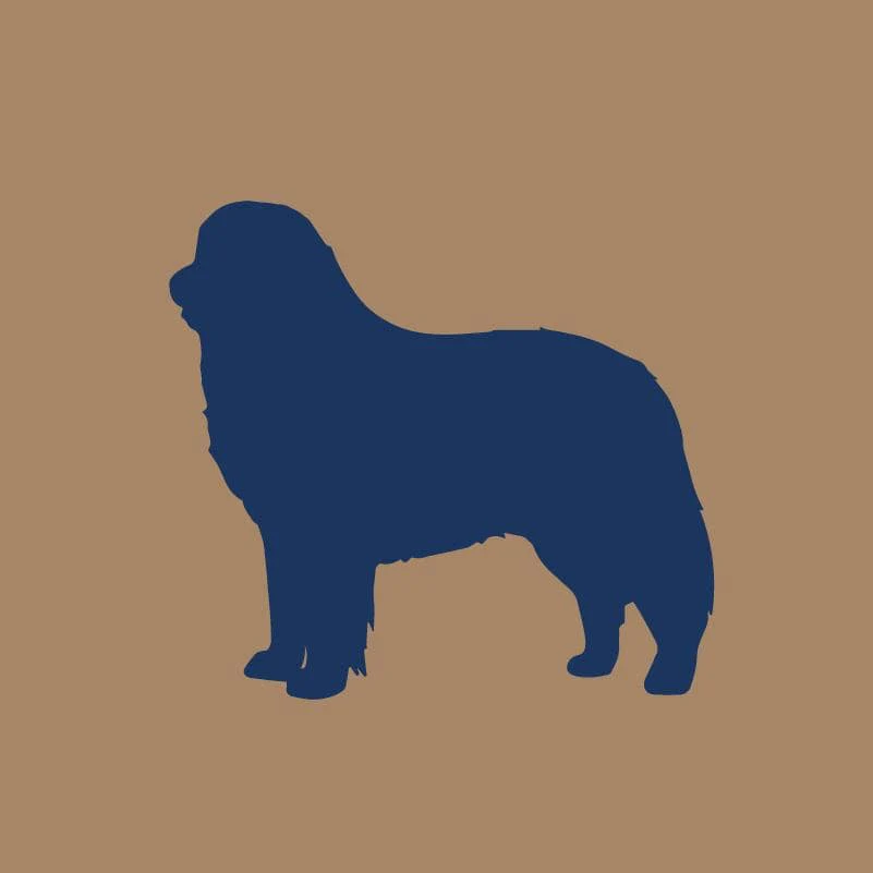 Bernese Mountain Dog AKC Embroidered Visor - Image 4