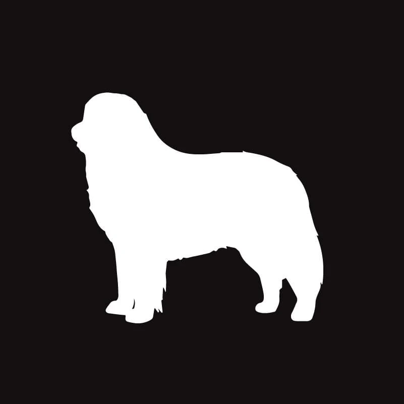 Bernese Mountain Dog AKC Embroidered Visor - Image 6