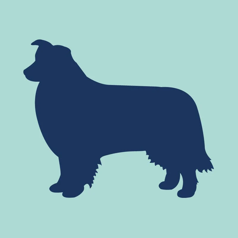 Border Collie Embroidered AKC Quarter Zip - Image 8