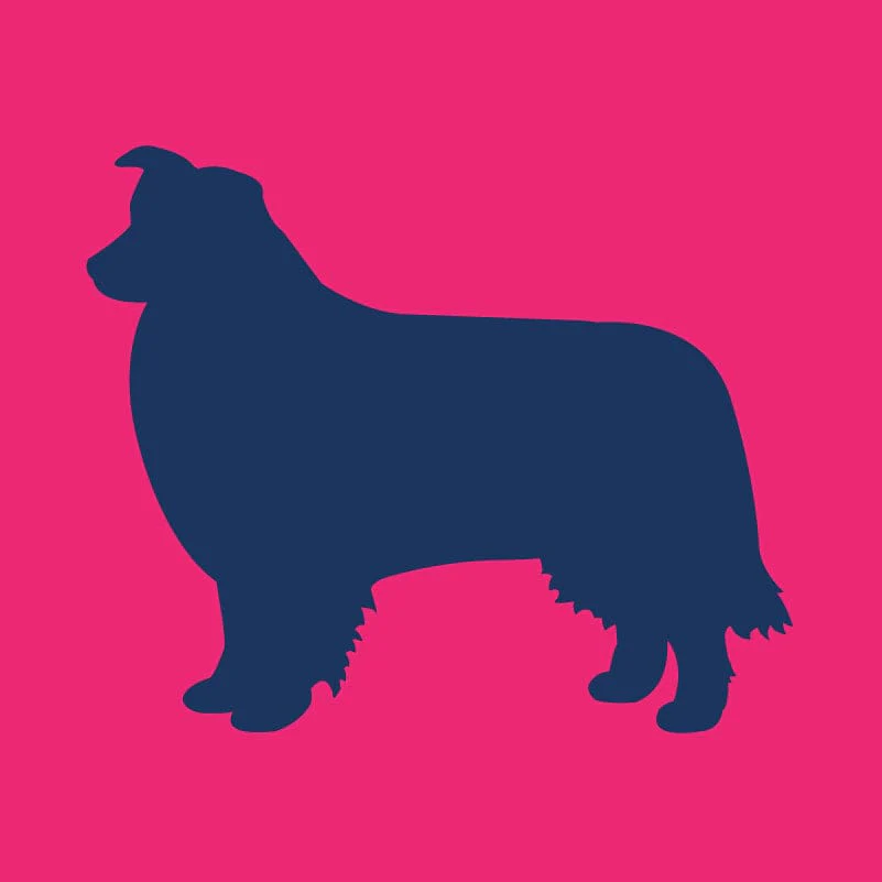 Border Collie Infant Onesie - Image 2