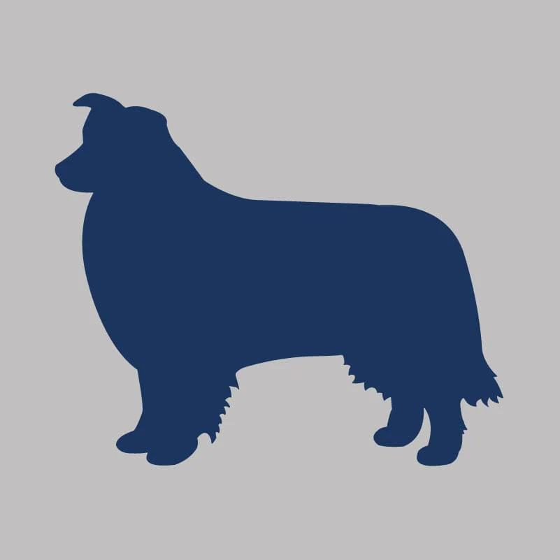 Border Collie Infant Onesie - Image 4