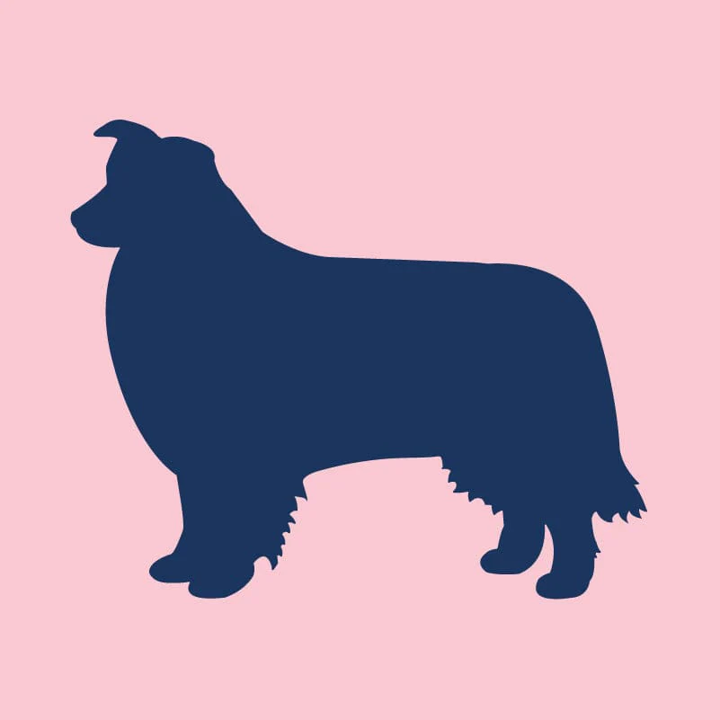 Border Collie Infant Onesie - Image 7