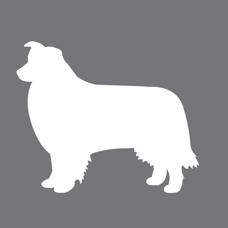 Border Collie Children's Full Zip Sweatshirt - Image 2