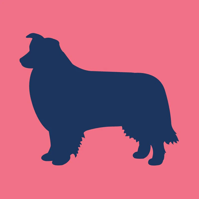 Border Collie Children's Full Zip Sweatshirt - Image 5