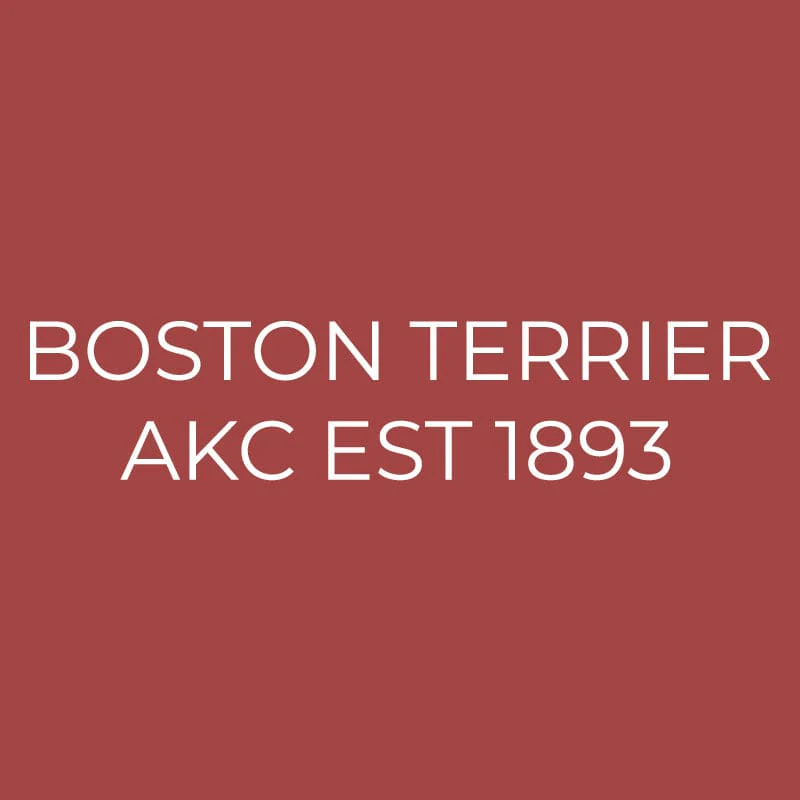 Boston Terrier Embroidered AKC Quarter Zip - Image 12