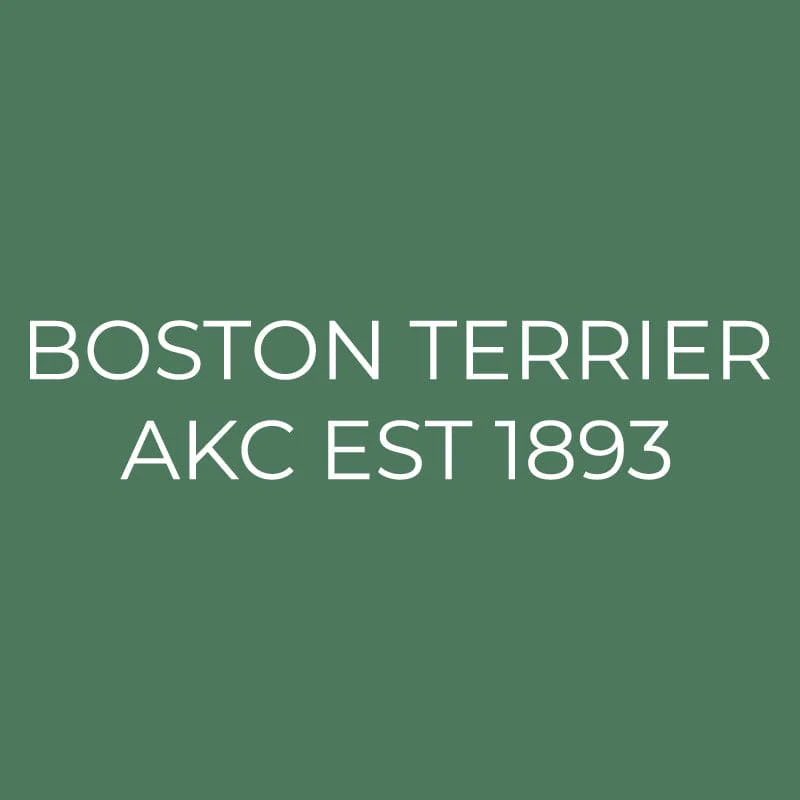 Boston Terrier Embroidered AKC Quarter Zip - Image 15