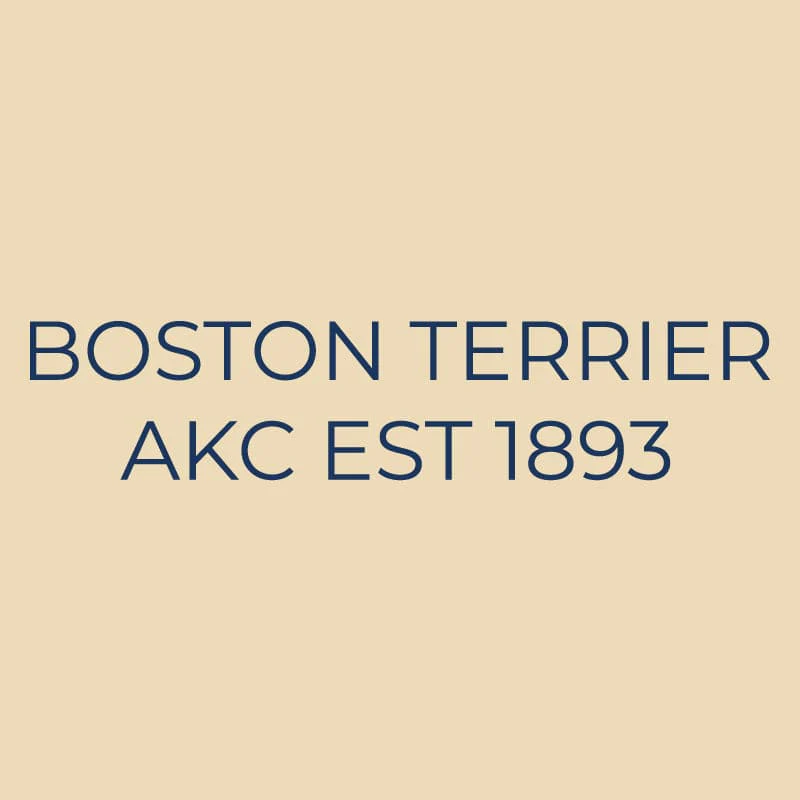 Boston Terrier Embroidered AKC Quarter Zip - Image 18