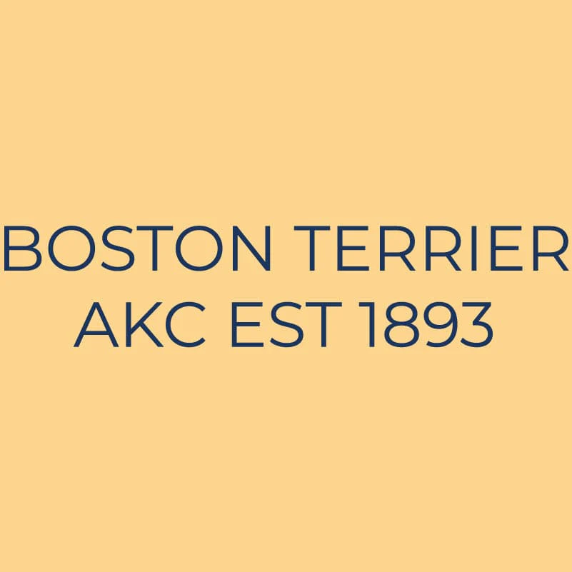 Boston Terrier Embroidered AKC Quarter Zip - Image 6