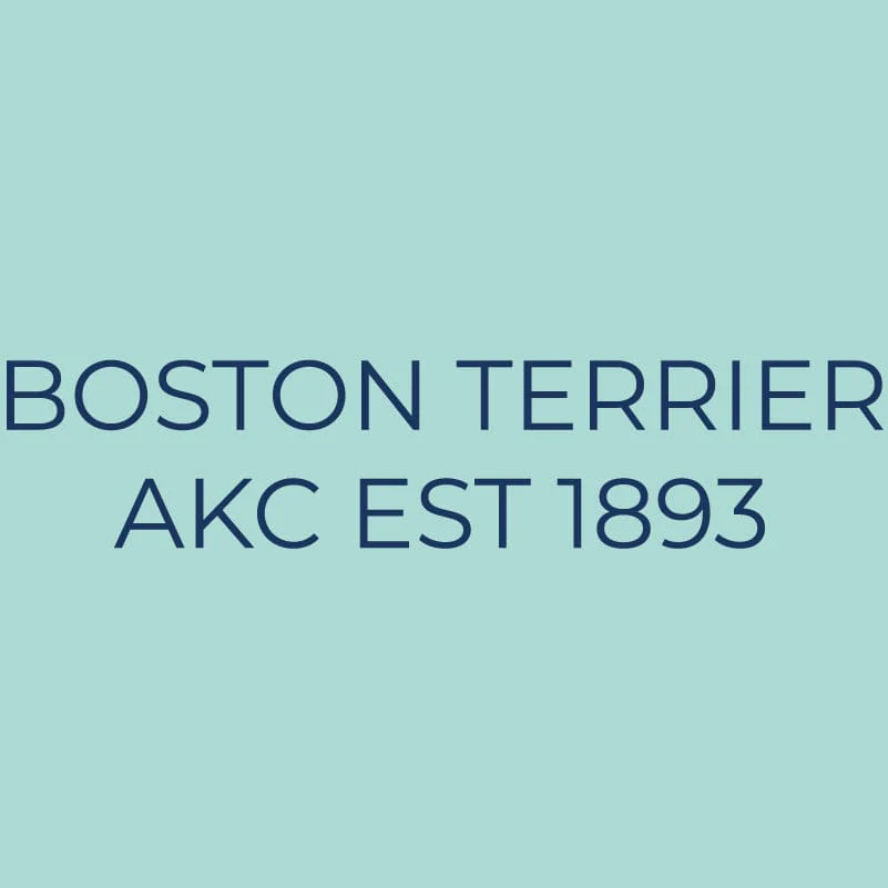 Boston Terrier Embroidered AKC Quarter Zip - Image 9